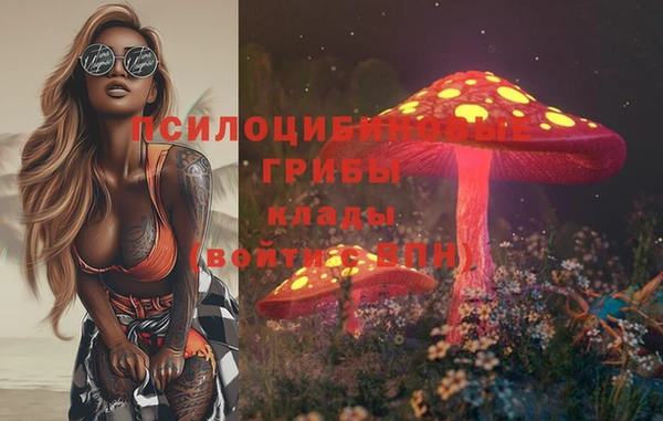 бутик Новозыбков