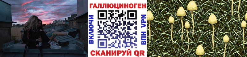 кракен маркетплейс  Грайворон  Галлюциногенные грибы MAGIC MUSHROOMS 